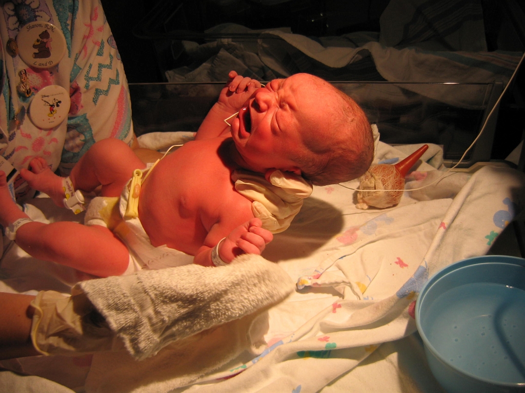 2006-07-09-03-07-02_00017.JPG