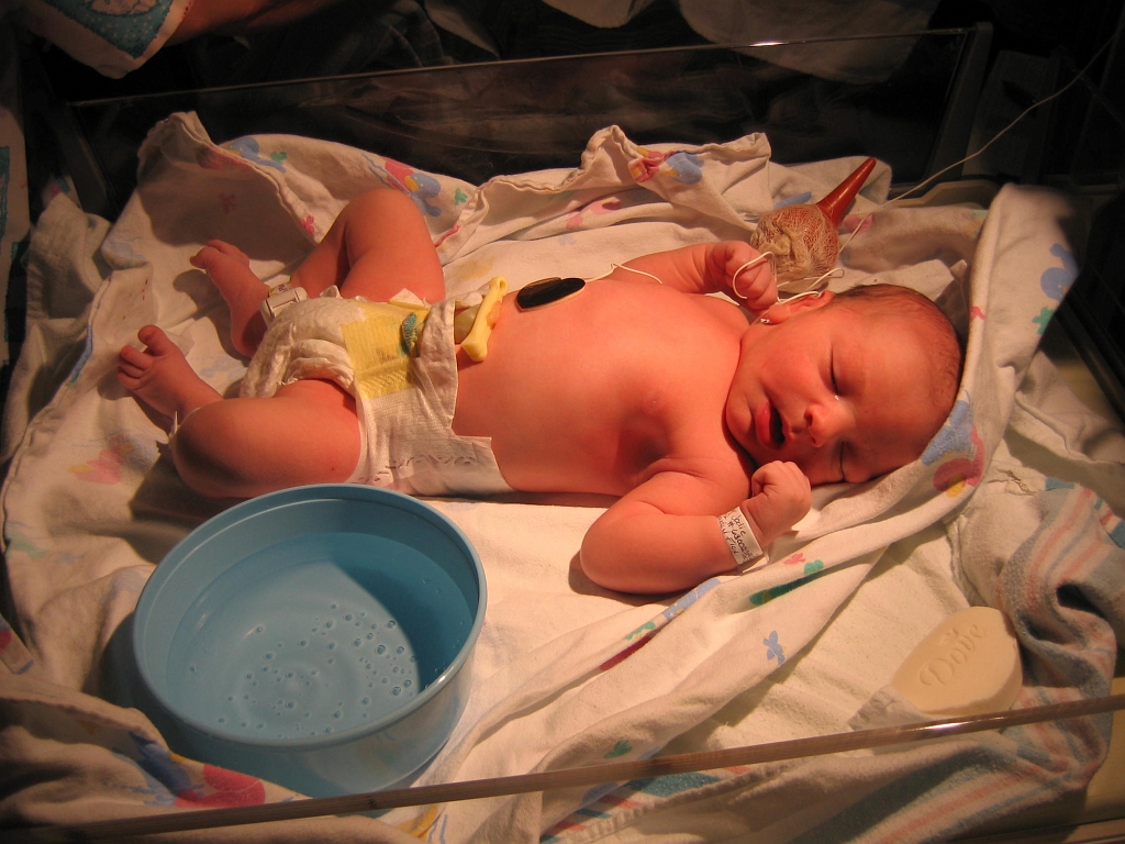 2006-07-09-03-07-15_00015.JPG