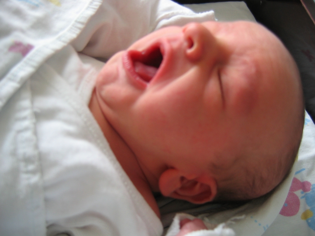 2006-07-10-08-07-19_00140.JPG