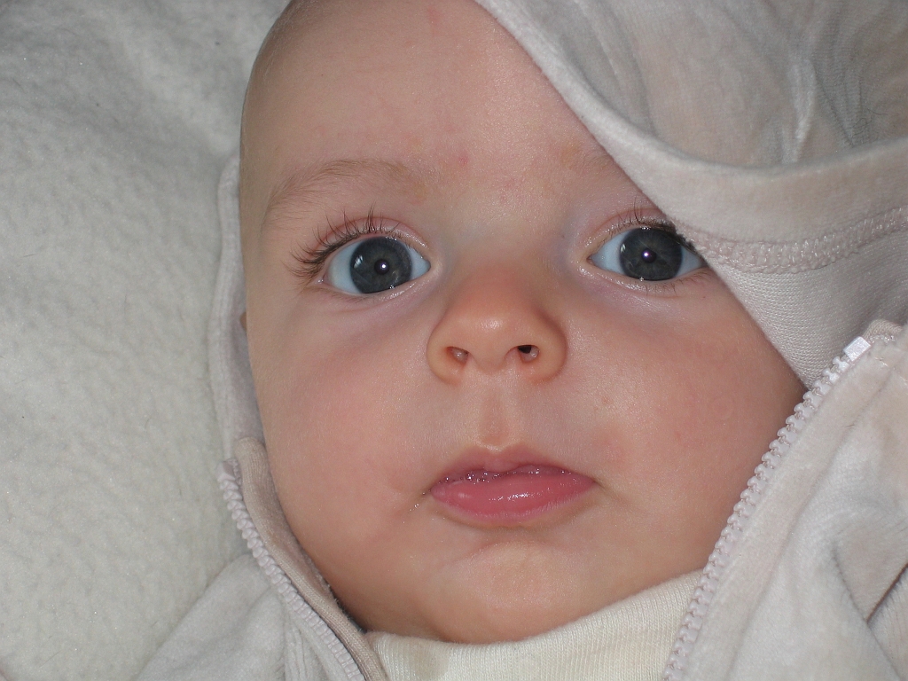 2006-10-08-15-10-01_00576.JPG
