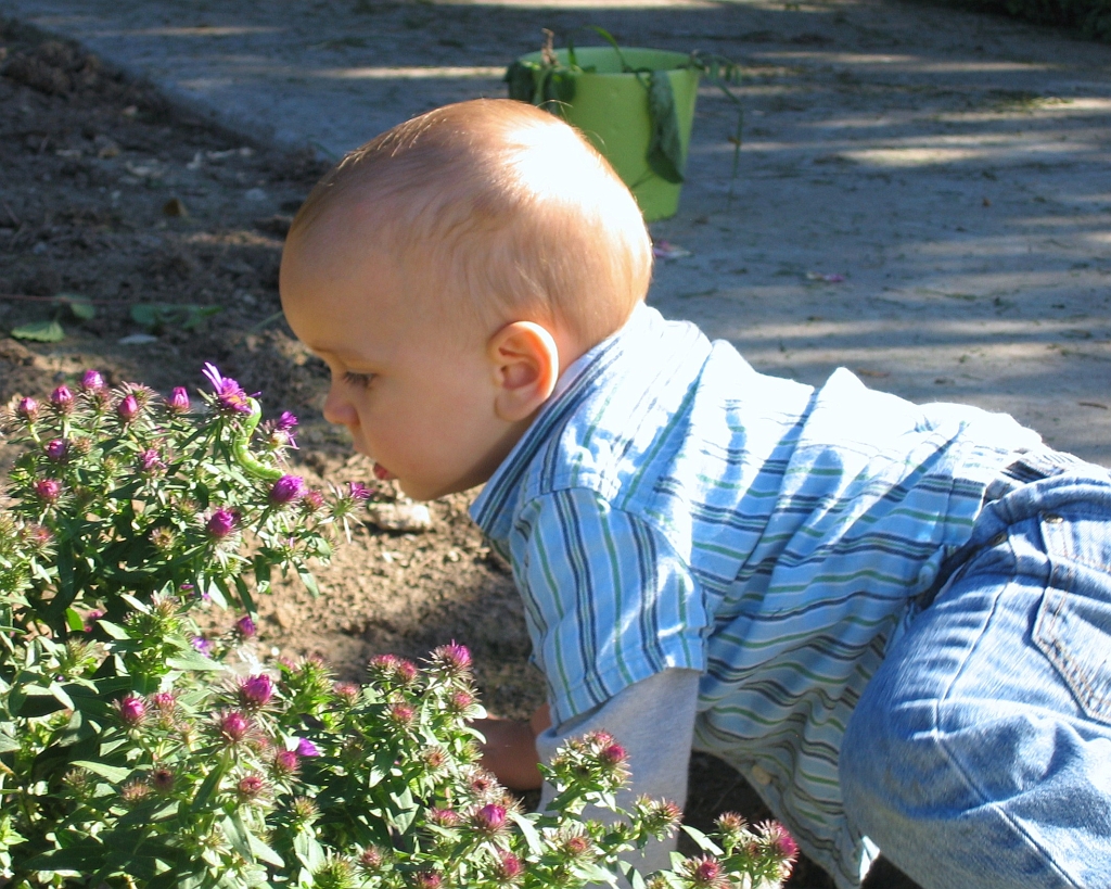2007-09-23-15-09-15_00710.JPG