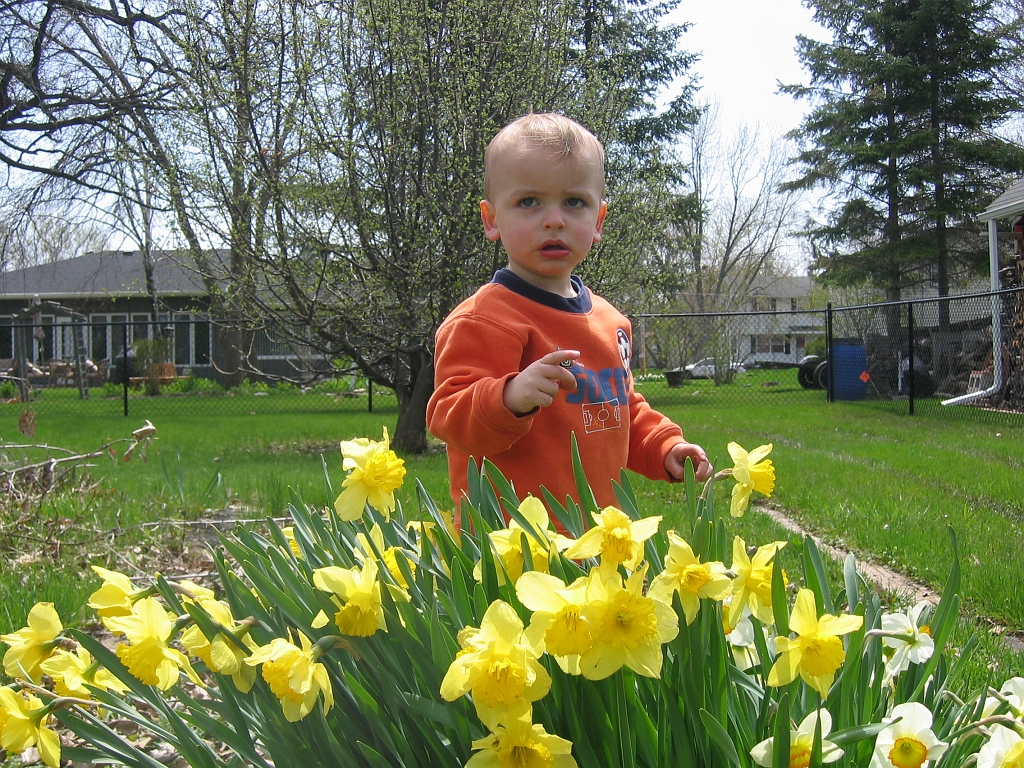 2008-05-04-13-05-07_00021.JPG