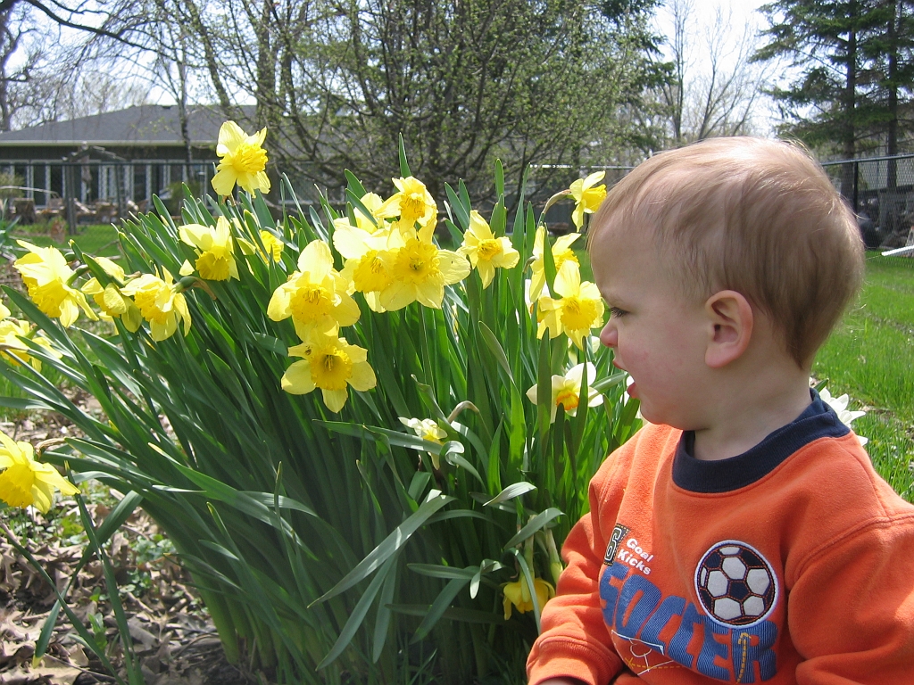 2008-05-04-13-05-44_00020.JPG