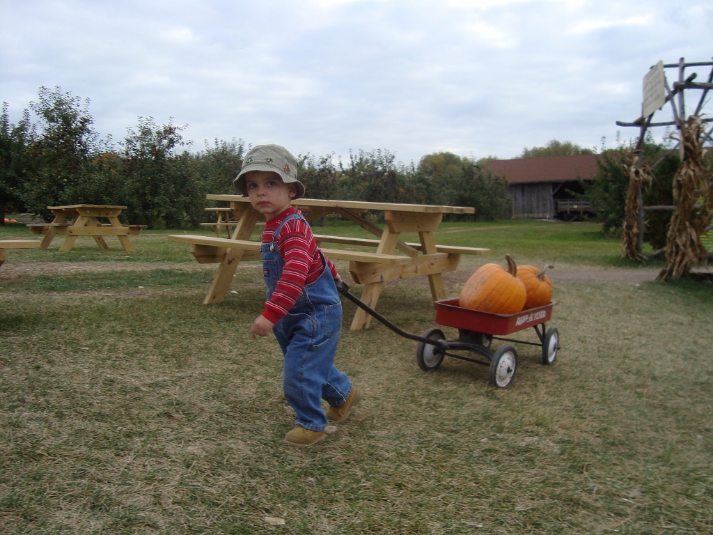 2008-10-13-15-10-32_00316.JPG