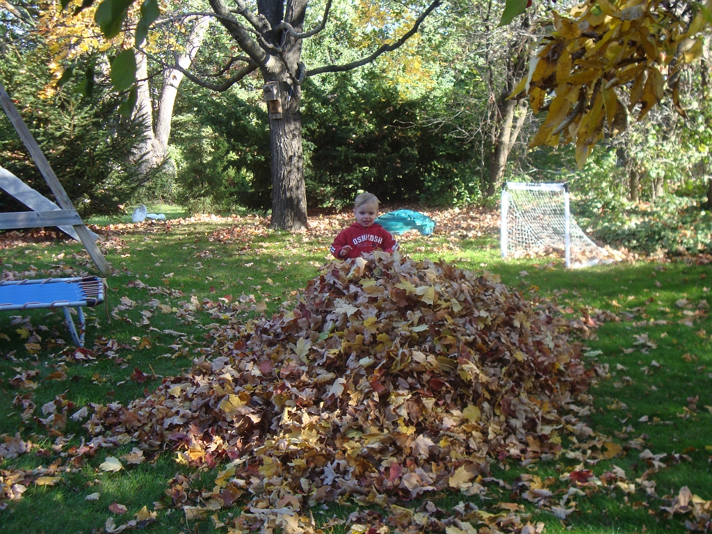 2008-10-23-10-10-42_00327.JPG