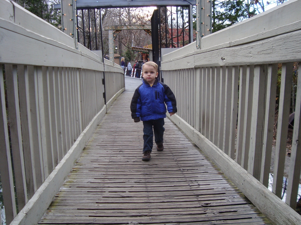 2008-11-28-16-11-53_00105.JPG