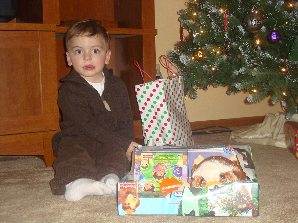 2008-12-27-17-12-58_00138.JPG