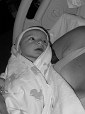 2006-07-09-01-07-50_00008