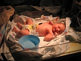 2006-07-09-03-07-02_00014