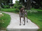 2006-07-11-11-07-09_00222