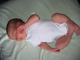2006-07-17-07-07-04_00291