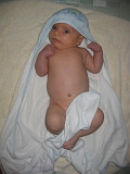 2006-08-22-15-08-31_00473
