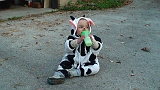 2007-10-28-16-10-09_00003
