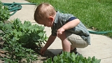 2008-06-15-15-06-38_00037
