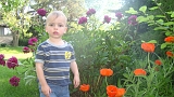 2008-06-17-18-06-05_00038